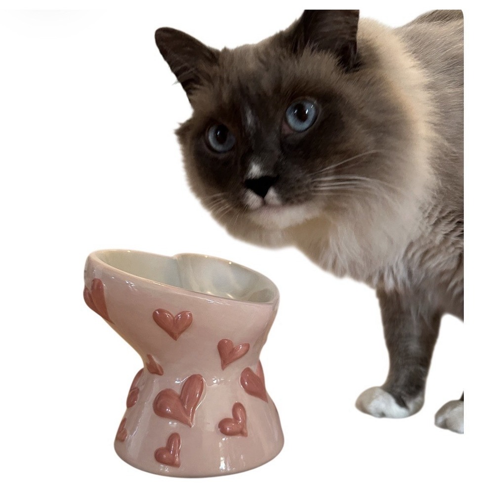 petal & Pearl Elevate Ceramic Cat Feather‎ Pink Embossed Hearts